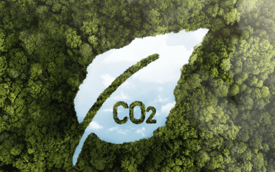 Livraison collaborative et écologie